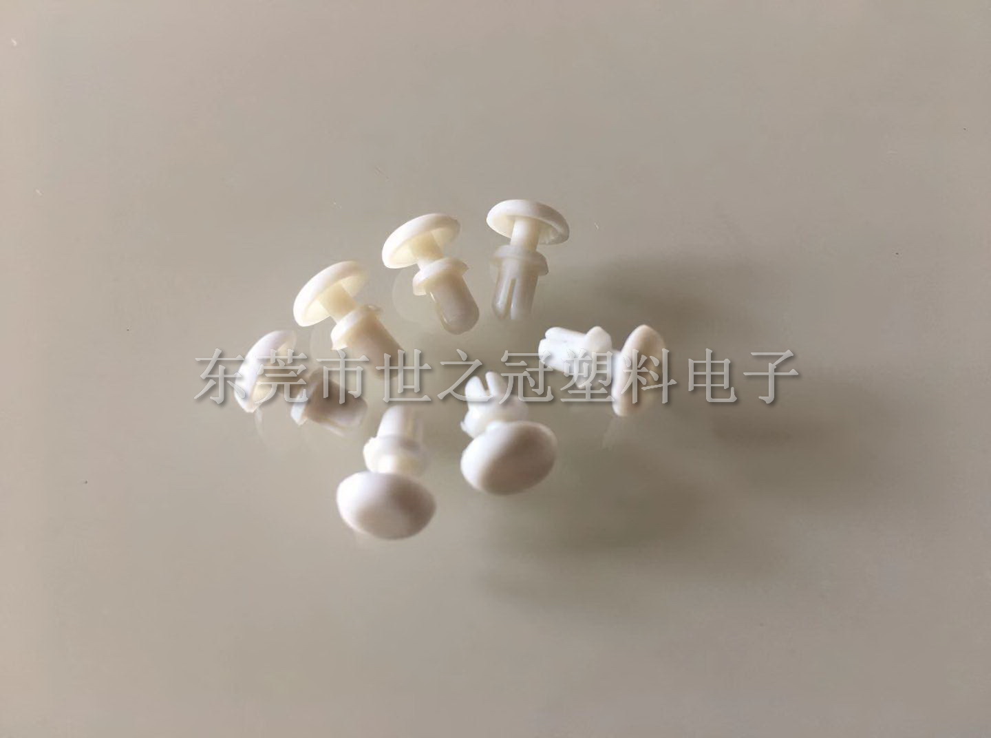 塑胶膨胀铆钉R系列 